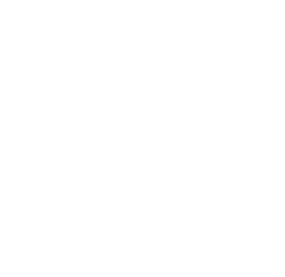 Logo Vermeer blanc