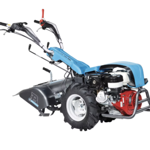 Fraise à terre Bertolini